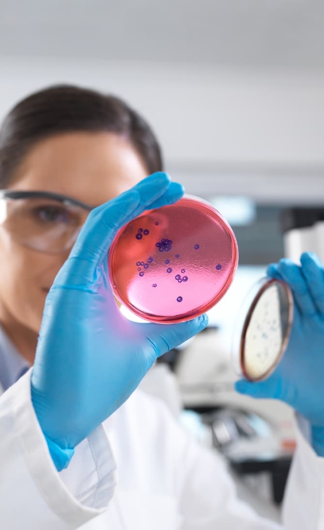 Laboratorio de patología